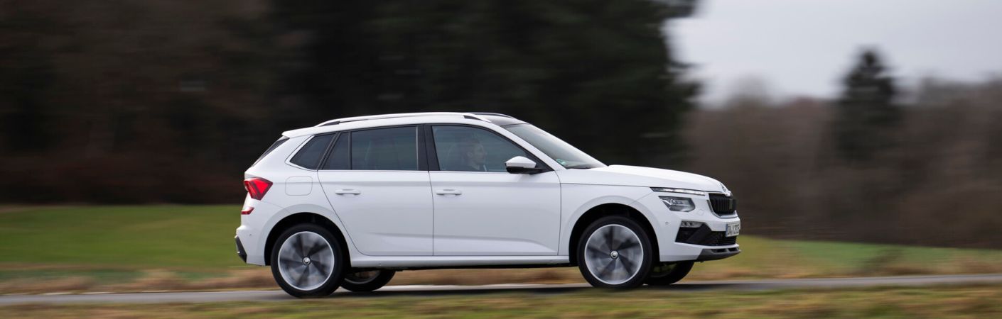 ABCM Skoda Kamiq Dettaglio