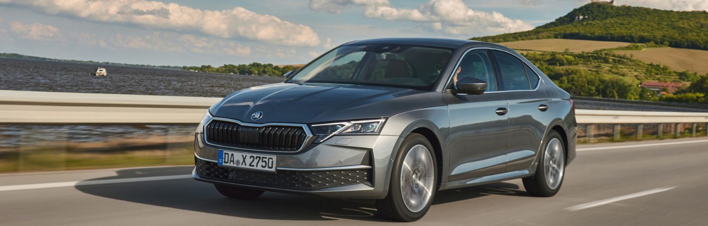 ABCM Skoda Ocatvia Wagon Dettaglio