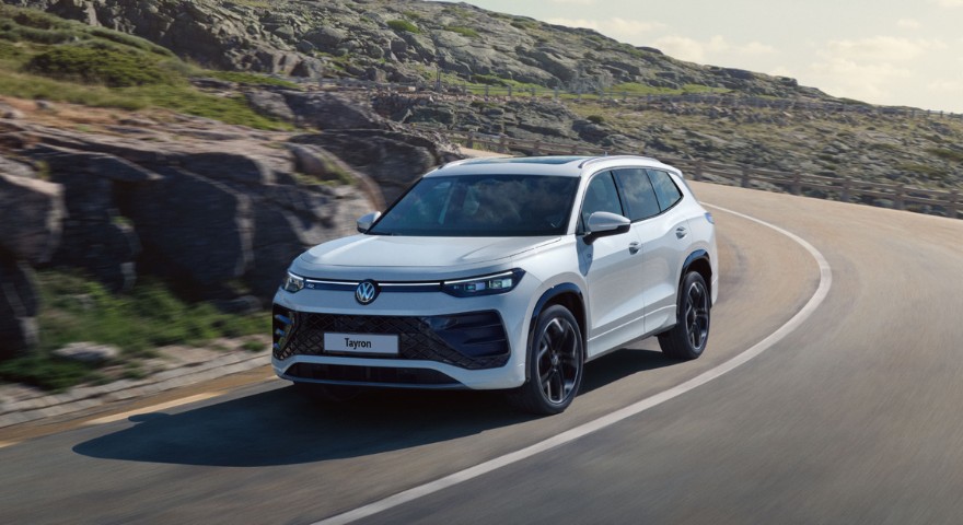 Vwtayron Noleggio Aziende