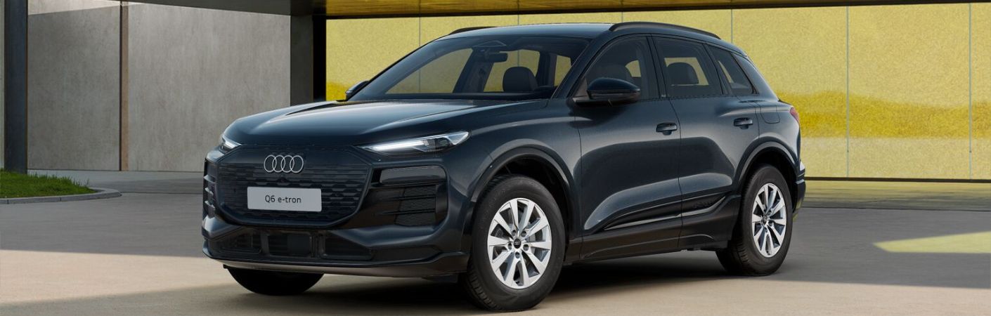 ABCM Audi Q6 Etron Dettaglio